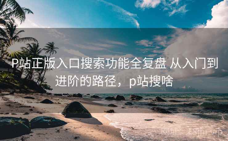 P站正版入口搜索功能全复盘 从入门到进阶的路径，p站搜啥