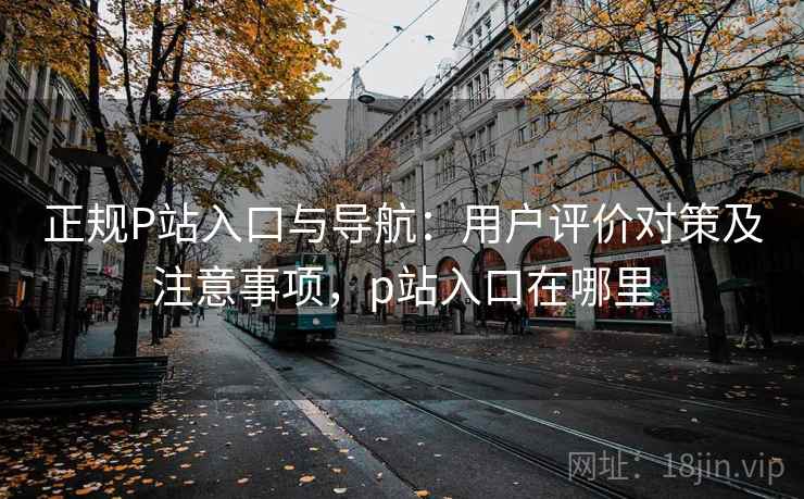 正规P站入口与导航：用户评价对策及注意事项，p站入口在哪里