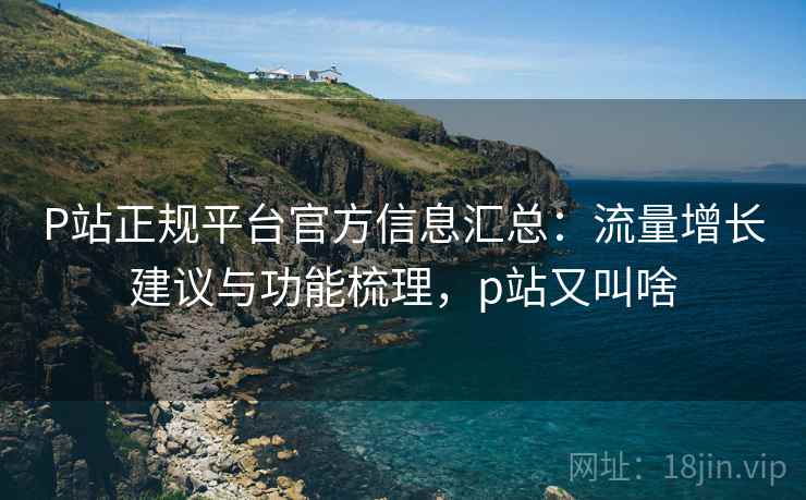 P站正规平台官方信息汇总：流量增长建议与功能梳理，p站又叫啥