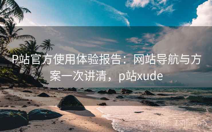 P站官方使用体验报告：网站导航与方案一次讲清，p站xude