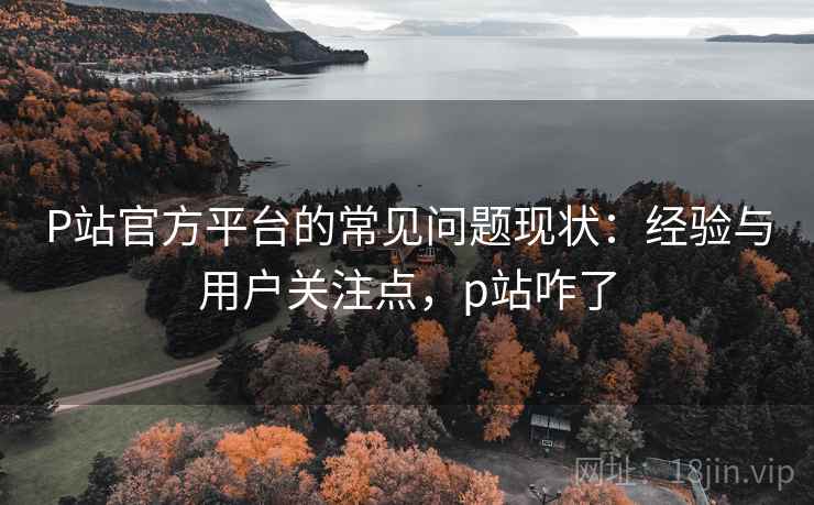 P站官方平台的常见问题现状:经验与用户关注点,p站咋了 P站官方平台的常见问题现状:经验与用户关注点,p站咋了
