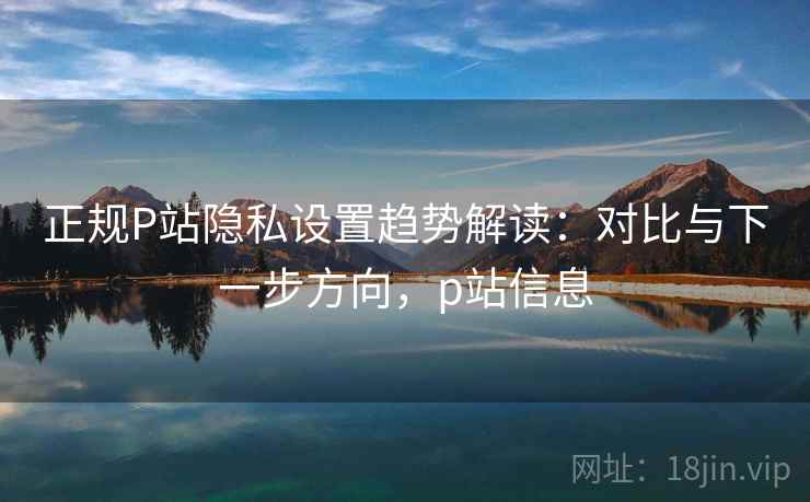 正规P站隐私设置趋势解读：对比与下一步方向，p站信息