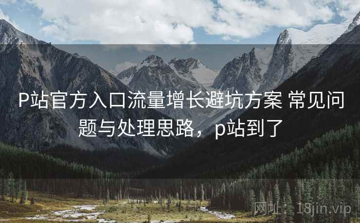 P站官方入口流量增长避坑方案 常见问题与处理思路，p站到了