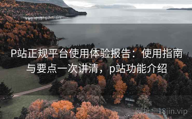 P站正规平台使用体验报告：使用指南与要点一次讲清，p站功能介绍
