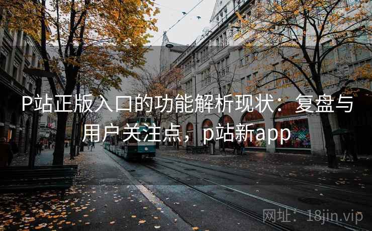 P站正版入口的功能解析现状：复盘与用户关注点，p站新app