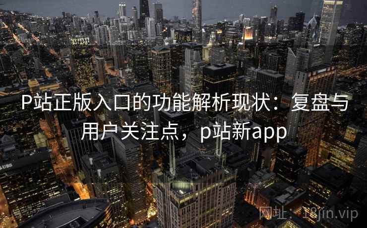 P站正版入口的功能解析现状：复盘与用户关注点，p站新app