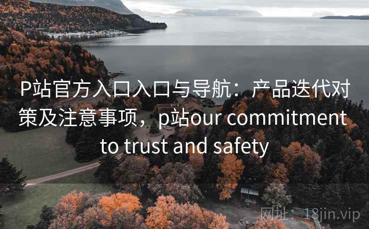 P站官方入口入口与导航：产品迭代对策及注意事项，p站our commitment to trust and safety