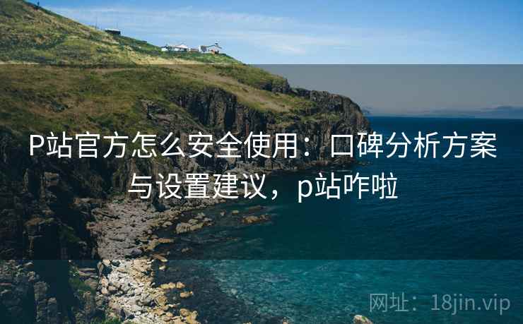 P站官方怎么安全使用：口碑分析方案与设置建议，p站咋啦