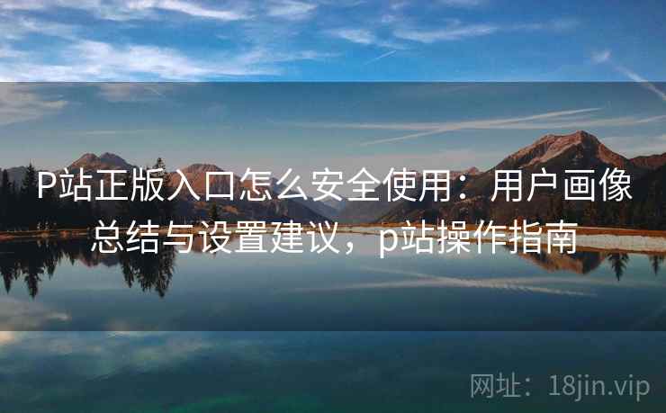 P站正版入口怎么安全使用：用户画像总结与设置建议，p站操作指南