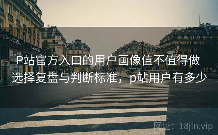 P站官方入口的用户画像值不值得做 选择复盘与判断标准，p站用户有多少