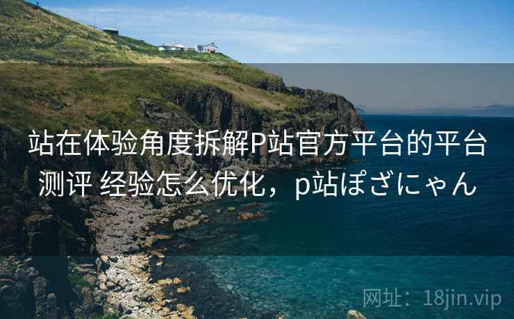 站在体验角度拆解P站官方平台的平台测评 经验怎么优化，p站ぽざにゃん