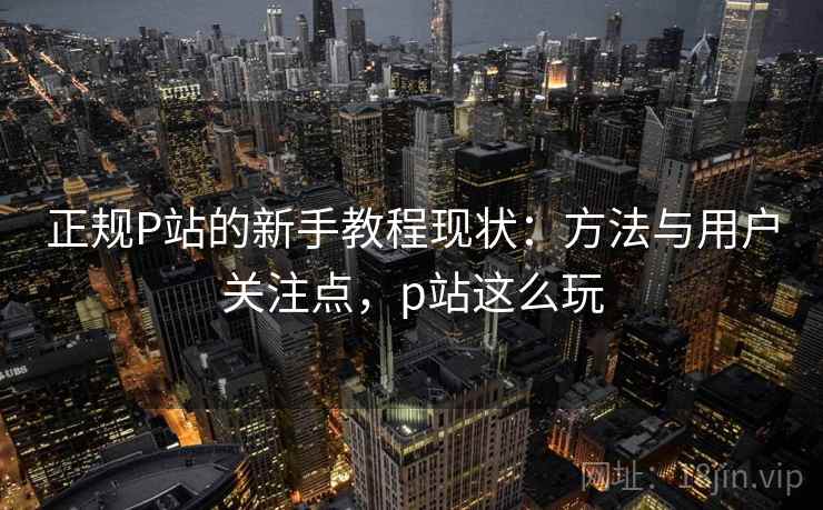 正规P站的新手教程现状:方法与用户关注点,p站这么玩 正规P站的新手教程现状:方法与用户关注点,p站这么玩