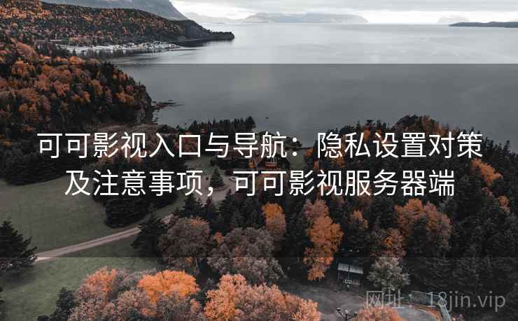 可可影视入口与导航：隐私设置对策及注意事项，可可影视服务器端