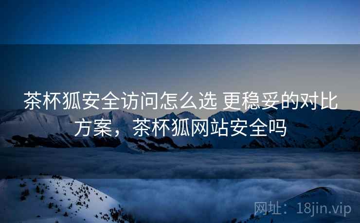 茶杯狐安全访问怎么选 更稳妥的对比方案，茶杯狐网站安全吗