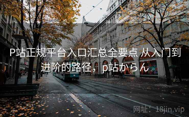 P站正规平台入口汇总全要点 从入门到进阶的路径,p站からん P站正规平台入口汇总全要点 从入门到进阶的路径,p站からん