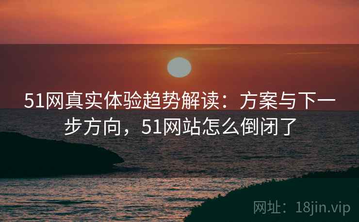 51网真实体验趋势解读：方案与下一步方向，51网站怎么倒闭了