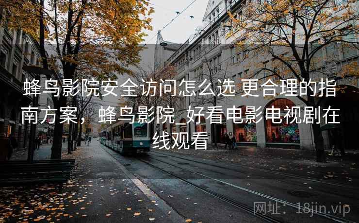 蜂鸟影院安全访问怎么选 更合理的指南方案，蜂鸟影院_好看电影电视剧在线观看