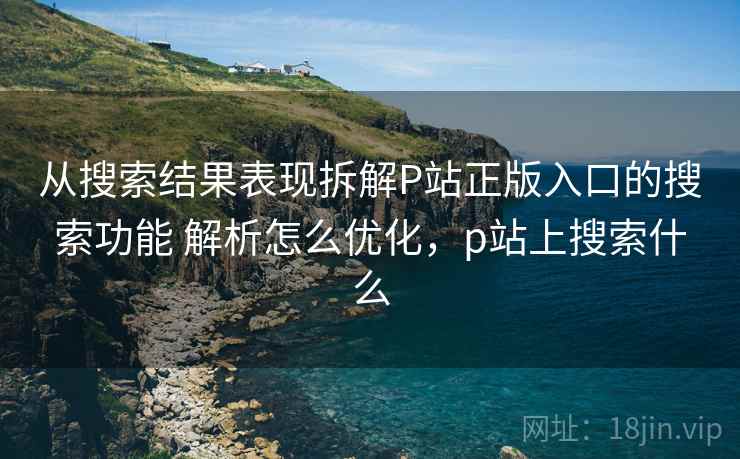 从搜索结果表现拆解P站正版入口的搜索功能 解析怎么优化，p站上搜索什么