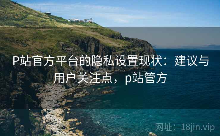 P站官方平台的隐私设置现状：建议与用户关注点，p站管方