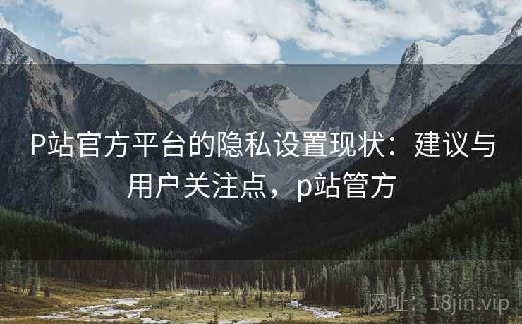 P站官方平台的隐私设置现状：建议与用户关注点，p站管方