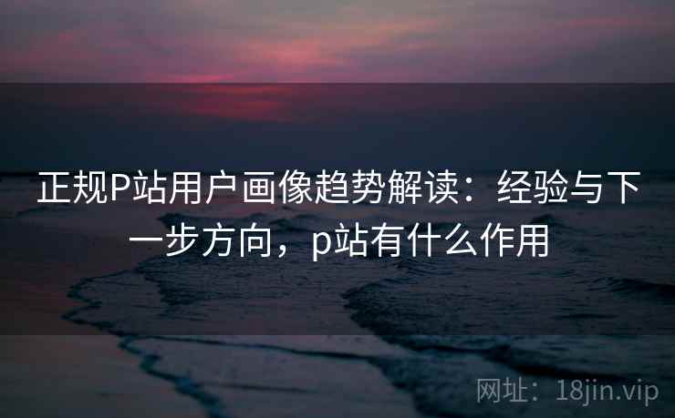 正规P站用户画像趋势解读：经验与下一步方向，p站有什么作用