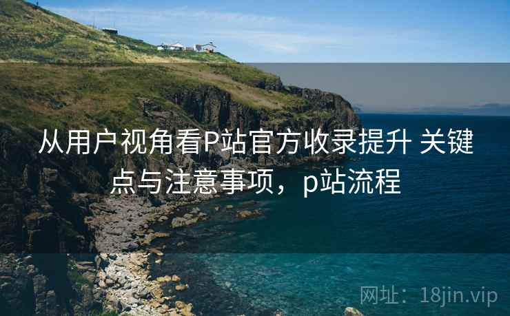 从用户视角看P站官方收录提升 关键点与注意事项，p站流程