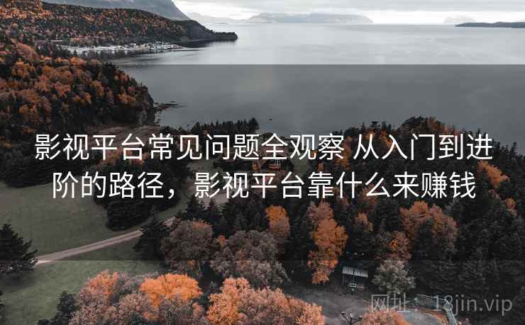 影视平台常见问题全观察 从入门到进阶的路径，影视平台靠什么来赚钱