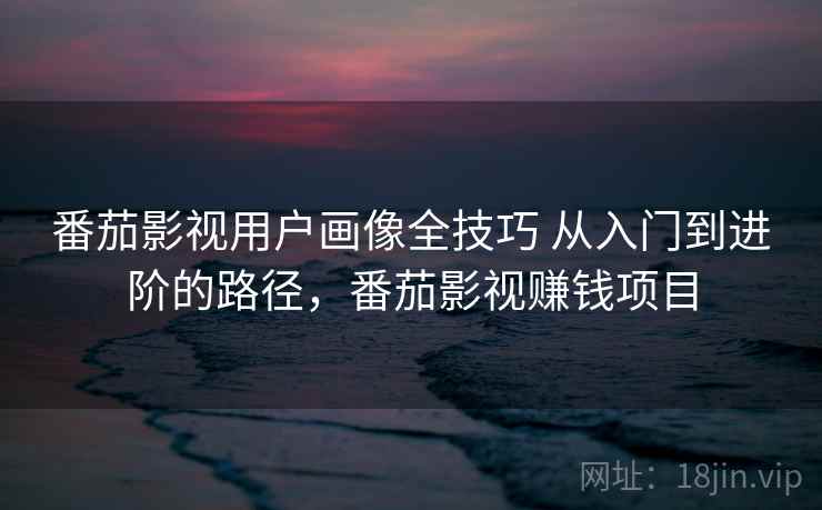 番茄影视用户画像全技巧 从入门到进阶的路径，番茄影视赚钱项目