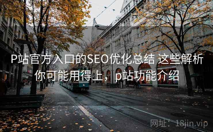 P站官方入口的SEO优化总结 这些解析你可能用得上，p站功能介绍